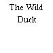 The Wild Duck