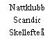 Nattklubb Scandic Skellefteå