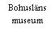 Bohusläns museum