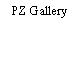 PZ Gallery