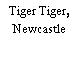 Tiger Tiger, Newcastle