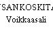 KUUSANKOSKITALO, Voikkaasali