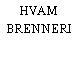 HVAM BRENNERI