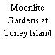 Moonlite Gardens at Coney Island