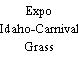 Expo Idaho-Carnival Grass