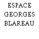 ESPACE GEORGES BLAREAU