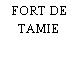 FORT DE TAMIE