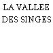 LA VALLEE DES SINGES
