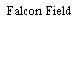 Falcon Field