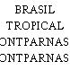 BRASIL TROPICAL MONTPARNASSE