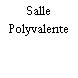 Salle Polyvalente