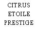 CITRUS ETOILE PRESTIGE