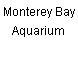 Monterey Bay Aquarium