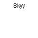 Skyy