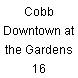 Cobb Downtown at the Gardens 16