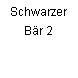 Schwarzer Bär 2