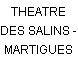 THEATRE DES SALINS - MARTIGUES