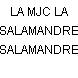 LA MJC LA SALAMANDRE
