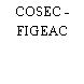 COSEC - FIGEAC