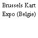 Brussels Kart Expo (Belgie)