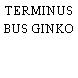 TERMINUS BUS GINKO