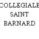 COLLEGIALE SAINT BARNARD