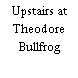 Upstairs at Theodore Bullfrog