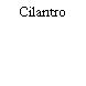 Cilantro