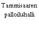 Tammisaaren palloiluhalli