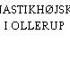 GYMNASTIKHØJSKOLEN I OLLERUP