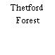 Thetford Forest