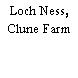 Loch Ness, Clune Farm