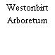 Westonbirt Arboretum