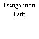 Dungannon Park