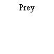 Prey