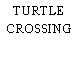 TURTLE CROSSING