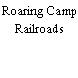 Roaring Camp Railroads