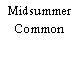 Midsummer Common