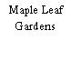 Maple Leaf Gardens