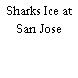 Sharks Ice at San Jose