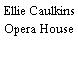 Ellie Caulkins Opera House
