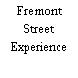 Fremont Street Experience