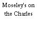 Moseley's on the Charles