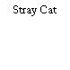 Stray Cat