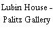 Lubin House - Palitz Gallery