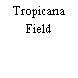 Tropicana Field