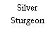 Silver Sturgeon