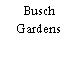 Busch Gardens