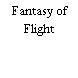 Fantasy of Flight