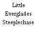 Little Everglades Steeplechase